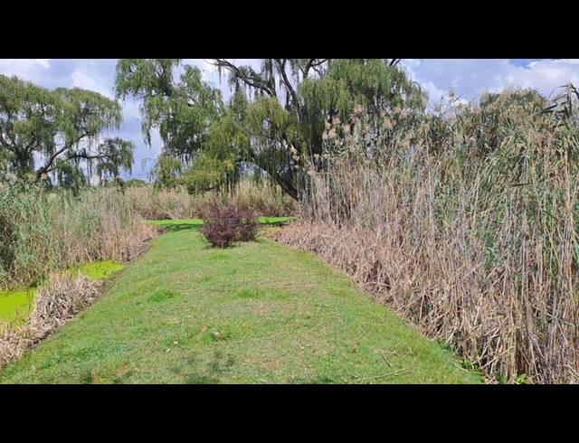 FARM FOR SALE IN MULLERSRUST